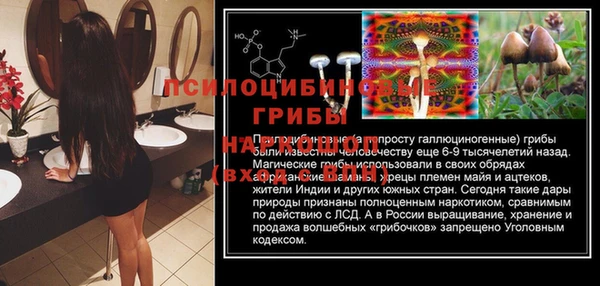 дмт Алексеевка